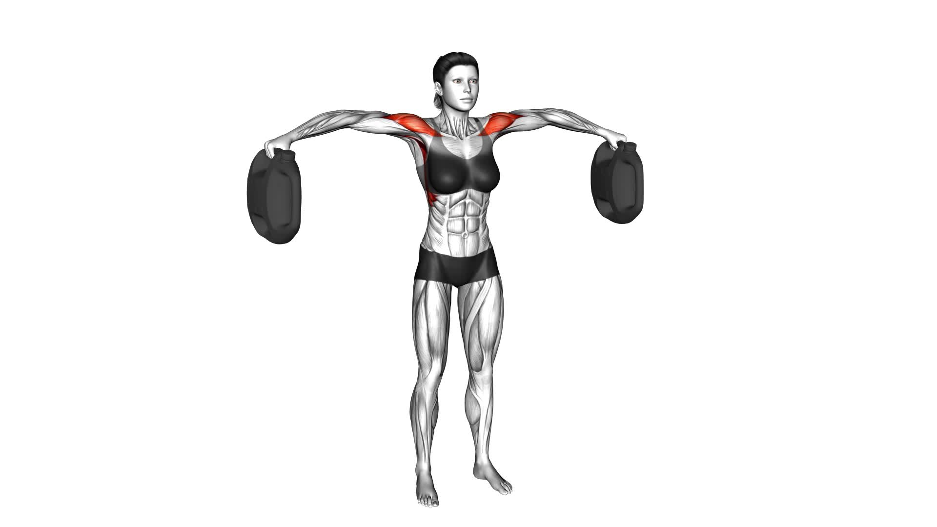 Bottle Weighted Lateral Raise (female) - Video Exercise Guide & Tips