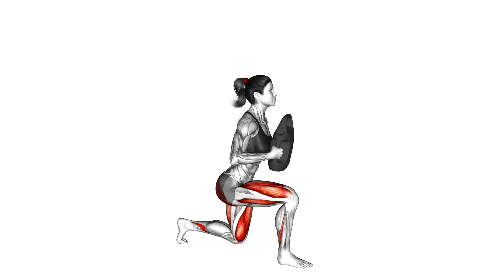 Bottle Weighted Split Squat (female) - Video Exercise Guide & Tips