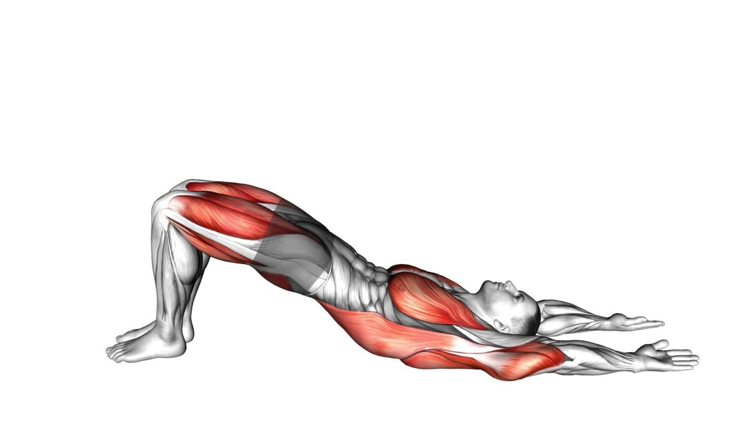 Bridge Pose Setu Bandhasana (male) - Video Guide & Tips