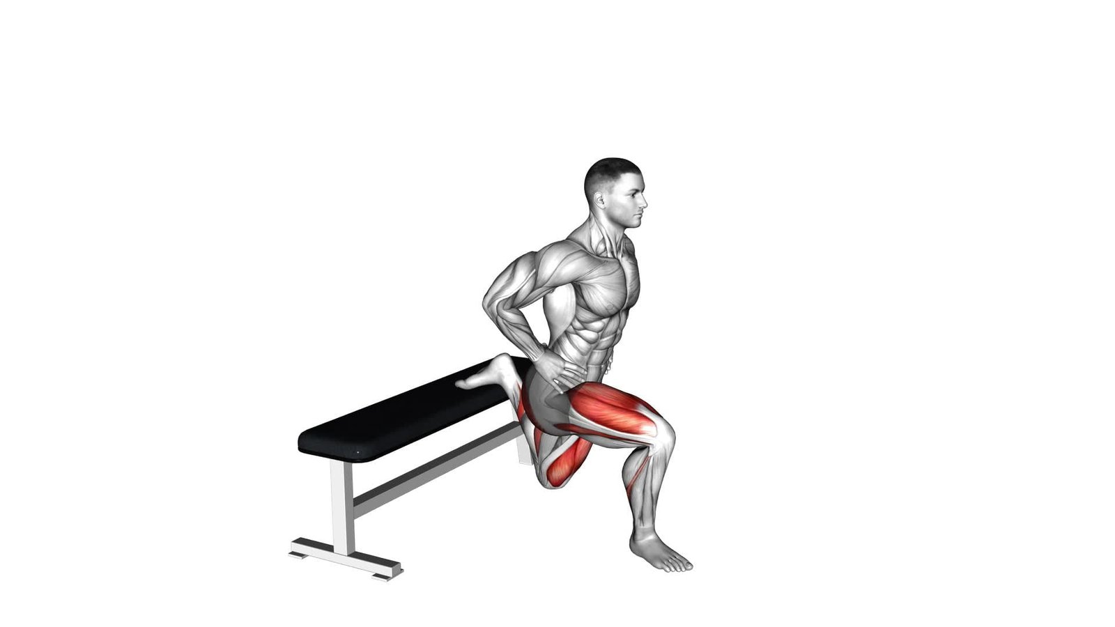 Step By Step Guide To The Trx Bulgarian Split Squats Exercise SAPCWR Step By Step Guide To The Trx Bulgarian Split Squats Exercise SAPCWR