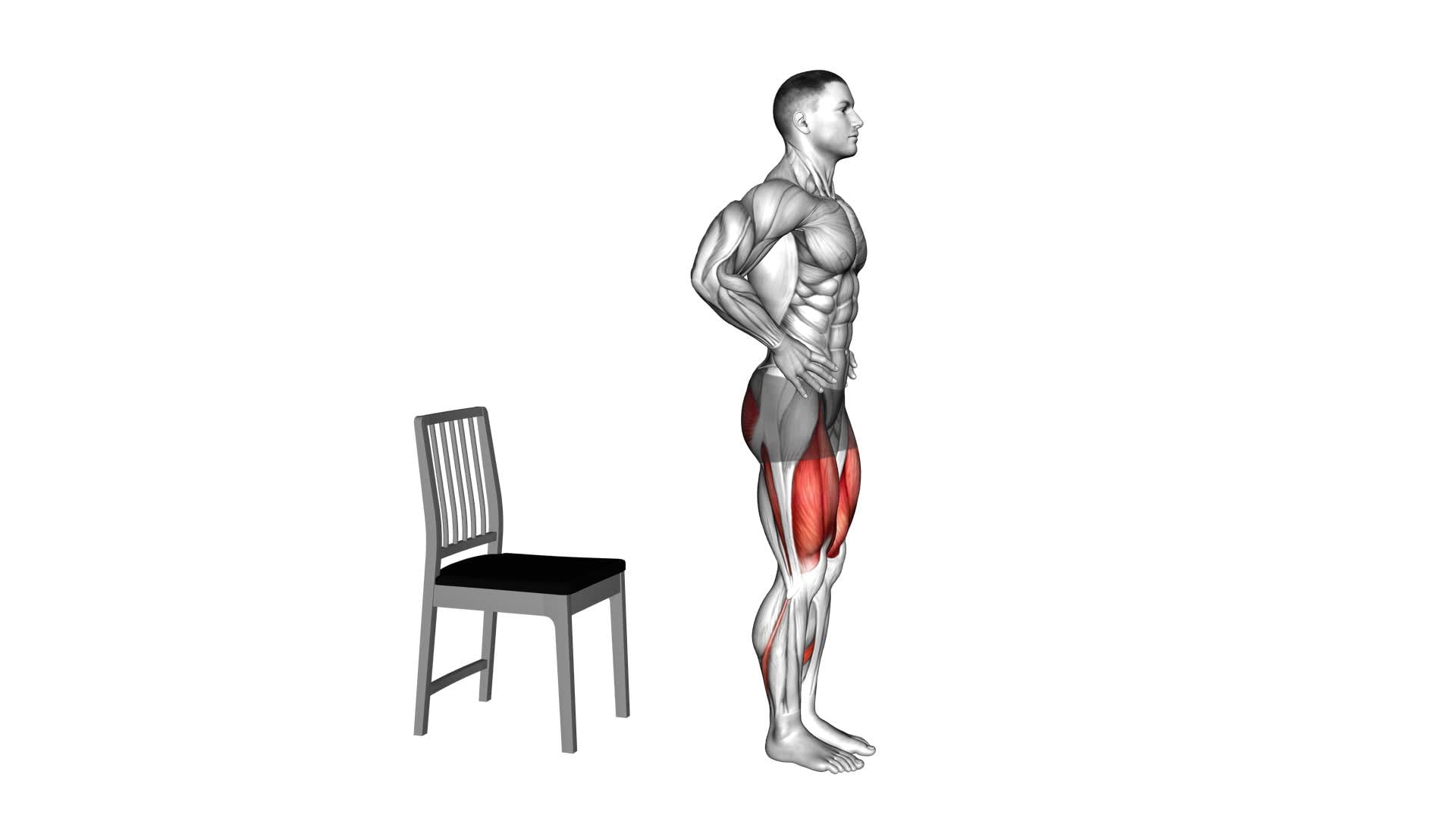 Bulgarian Split Squat With Chair - Video Exercise Guide & Tips