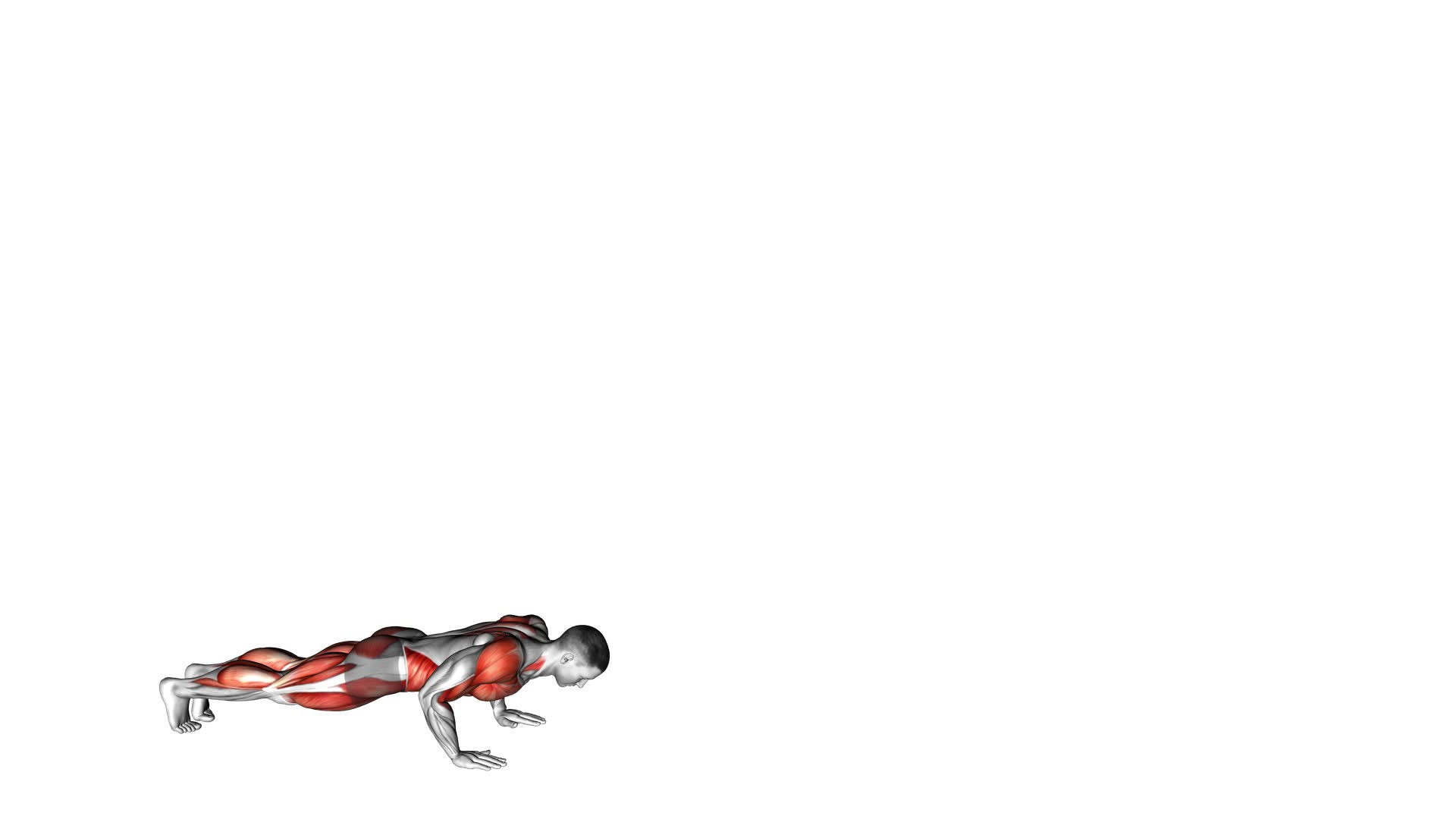 Burpee Long Jump With Push-Up (Male) - Video Exercise Guide & Tips