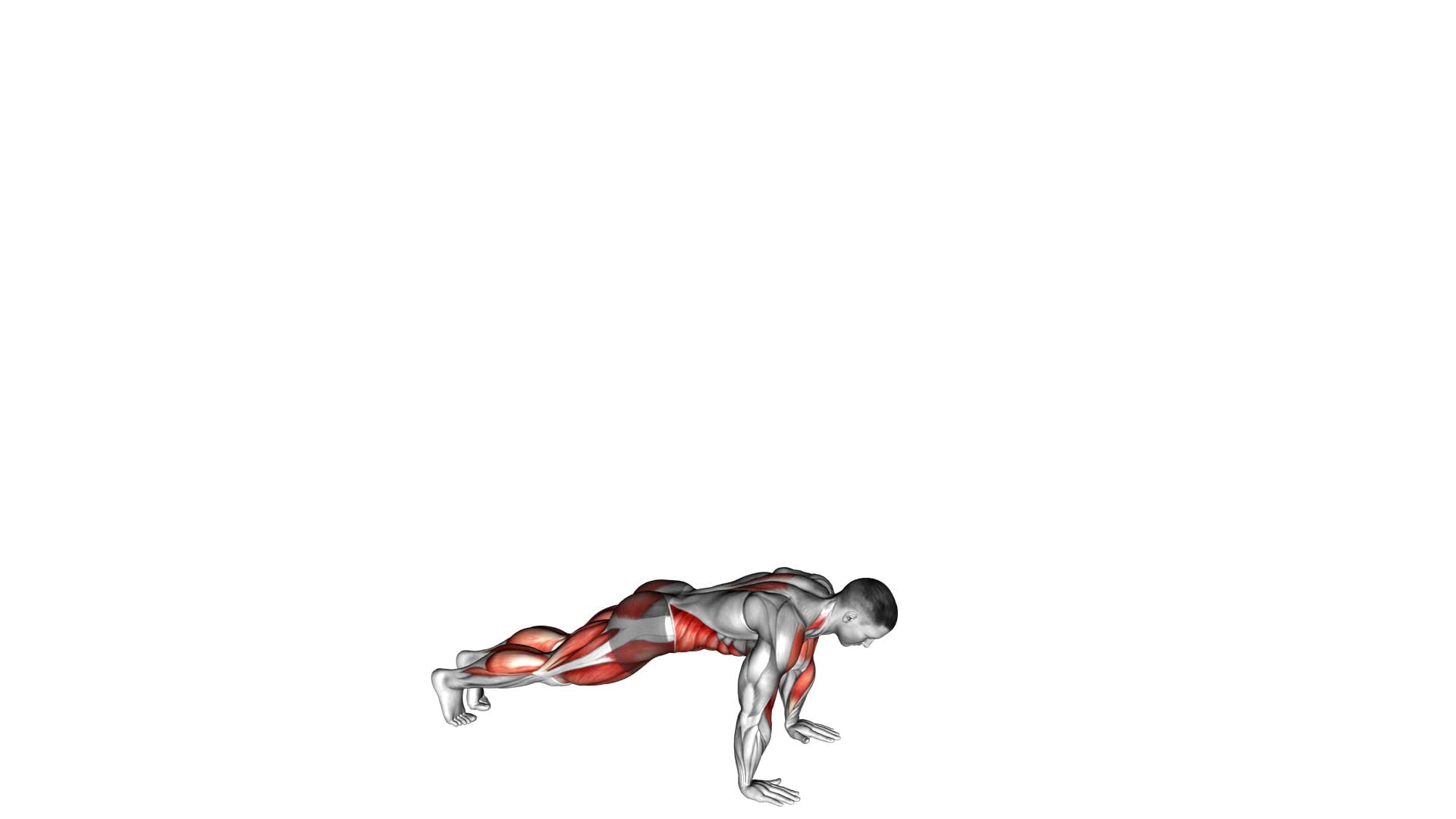 Burpee - Video Exercise Guide & Tips