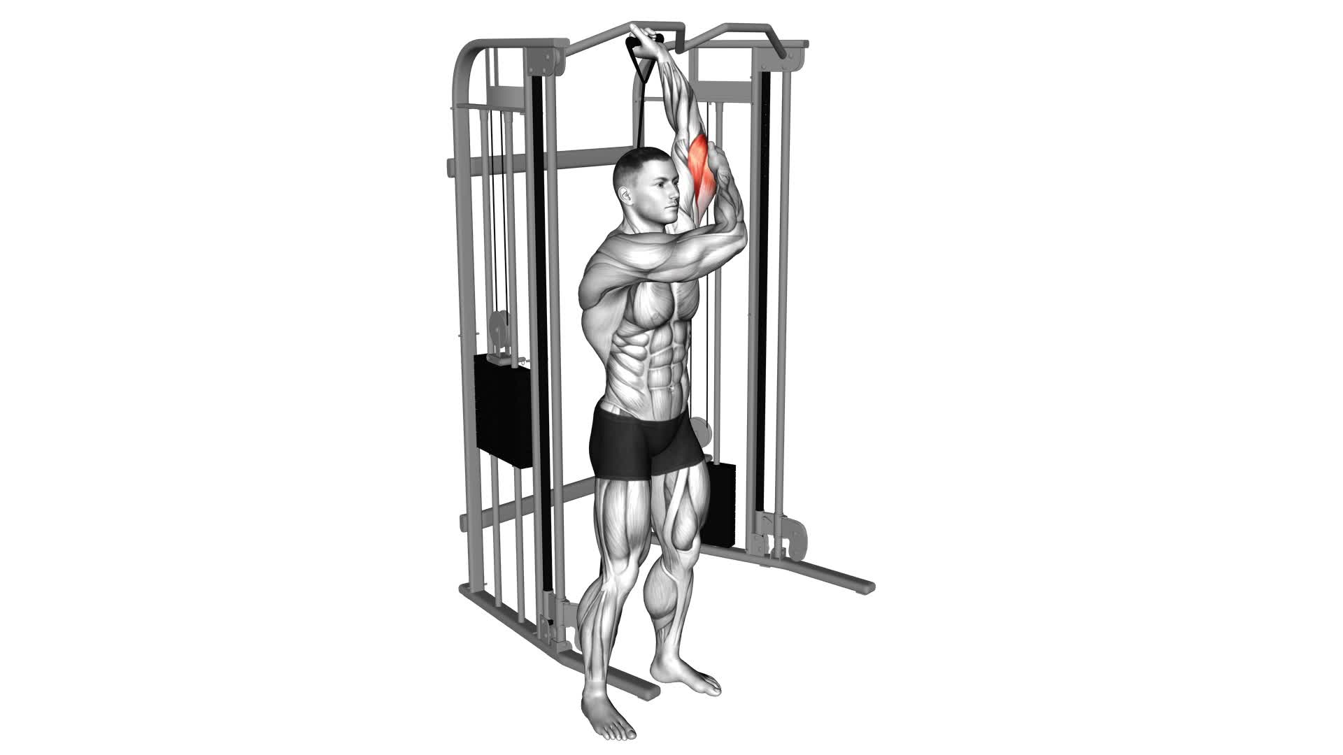Cable Alternate Triceps Extension - Video Exercise Guide & Tips