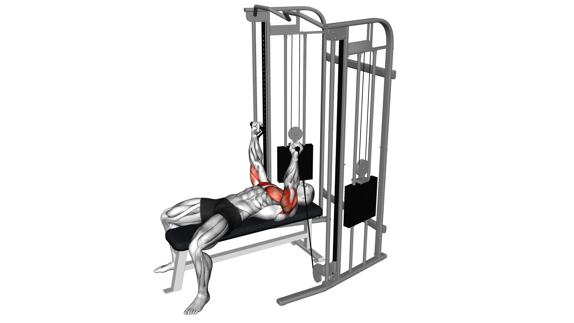 Cable Bench Press - Video Exercise Guide & Tips