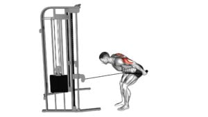 Cable Bent Over Neutral Grip Kickback With Rope Attachment - Video Exercise Guide & Tips