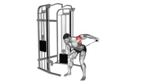 Cable Bent Over One Arm Lateral Raise - Video Exercise Guide & Tips