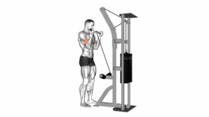 Cable Biceps Curl (SZ-bar) - Video Exercise Guide & Tips