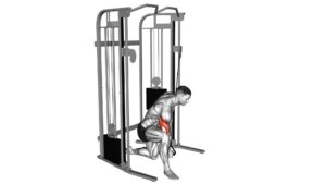 Cable Concentration Extension (On Knee) - Video Exercise Guide & Tips