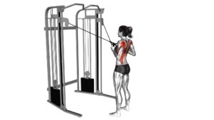 Cable Cross Over Lateral Pulldown (Female) - Video Exercise Guide & Tips