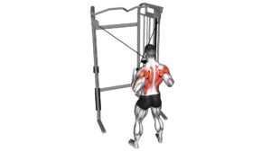 Cable Cross-over Lateral Pulldown - Video Exercise Guide & Tips
