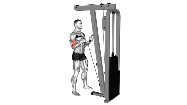 Cable Curl: Master The Multipurpose V Bar - Video Guide & Tips