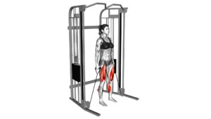 Cable Deadlift (female) - Video Exercise Guide & Tips