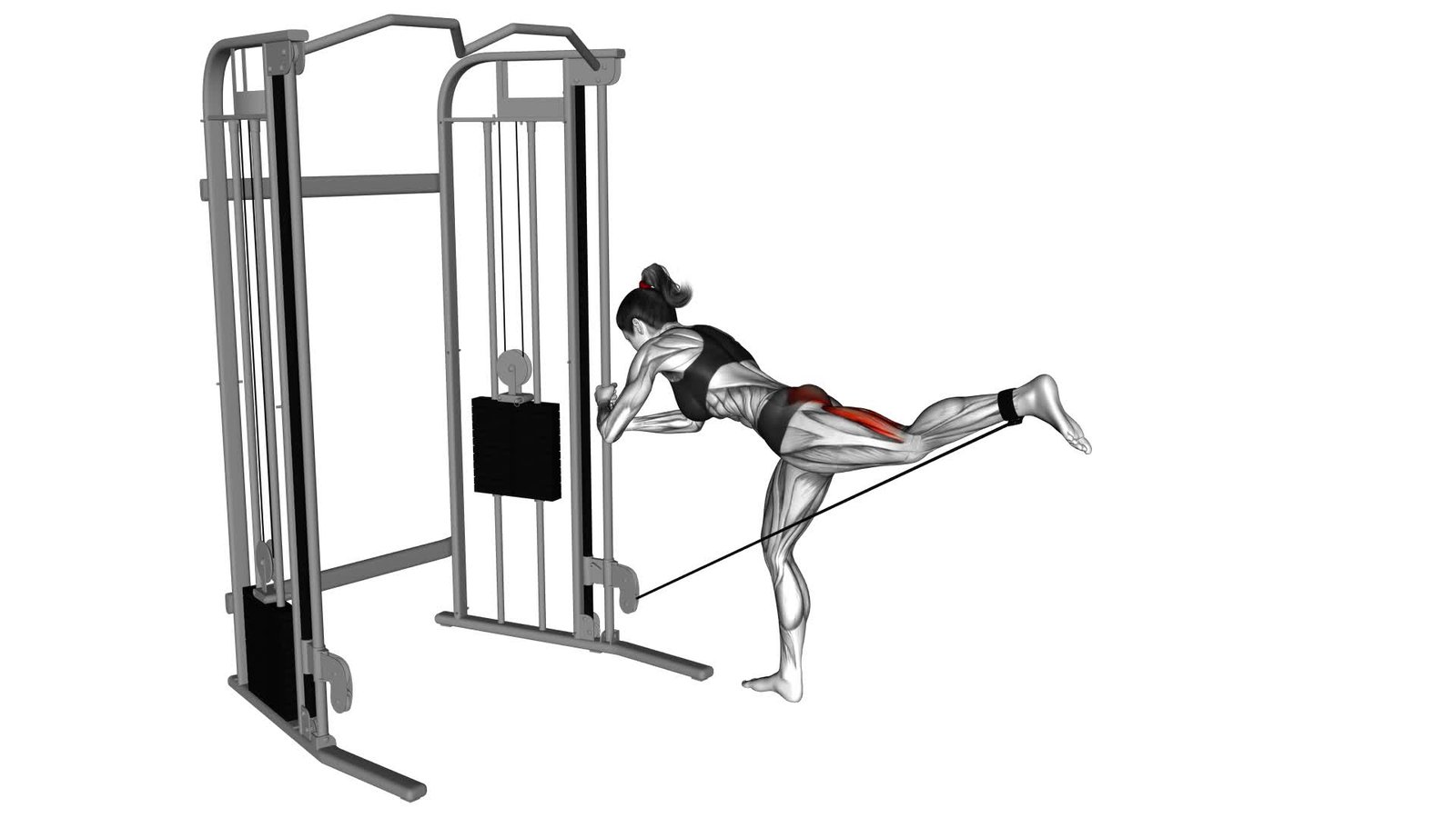 Cable Donkey Kickback Female Exercise Guide Tips