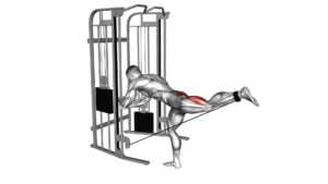 Cable Donkey Kickback (male) - Video Exercise Guide & Tips