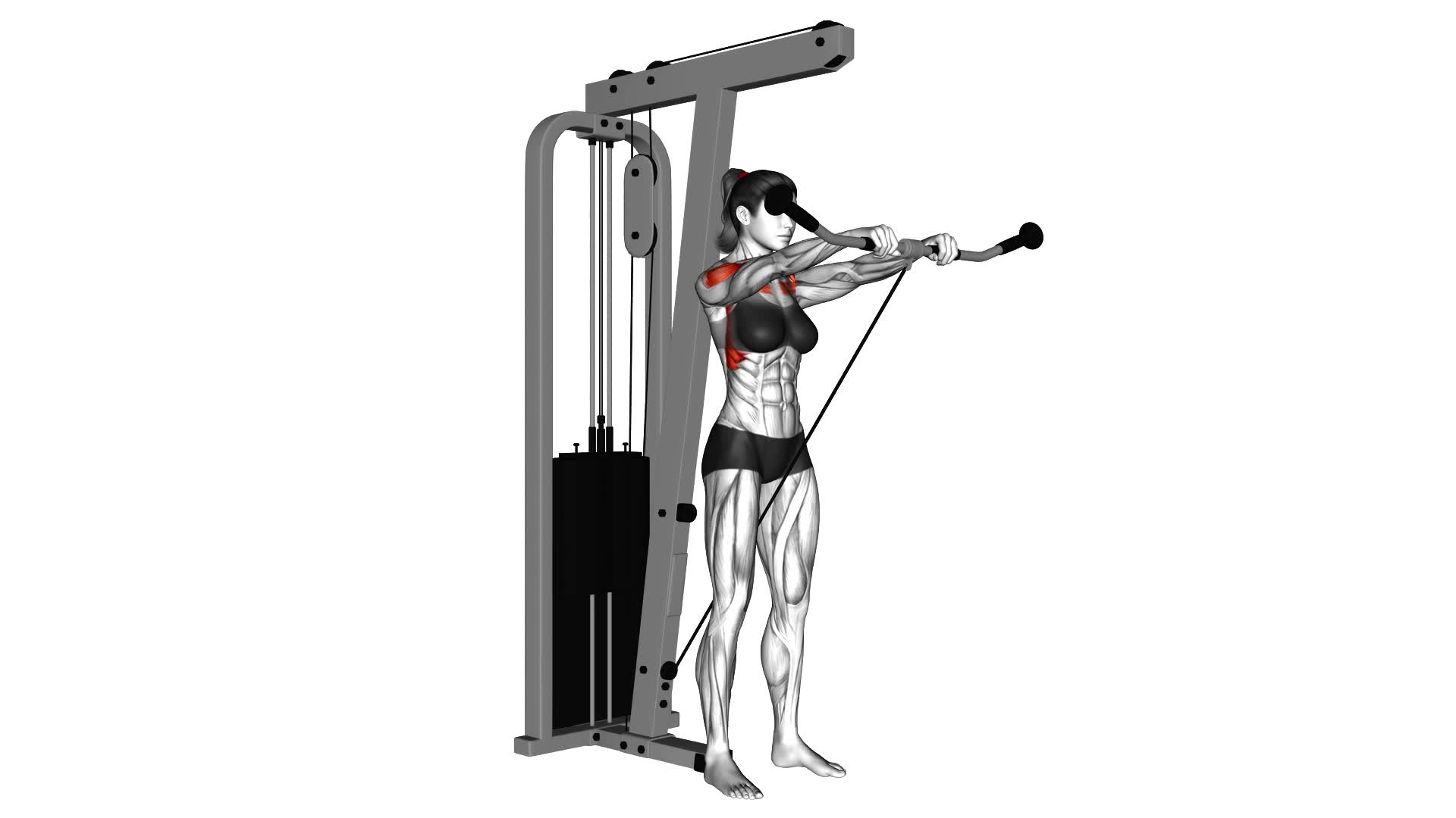 Cable Front Raise (female) - Video Exercise Guide & Tips