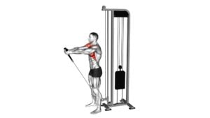 Cable Front Raise (Rope Attachment) (Male) - Video Exercise Guide & Tips