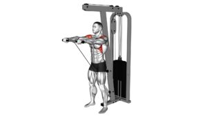 Cable Front Raise - Video Exercise Guide & Tips