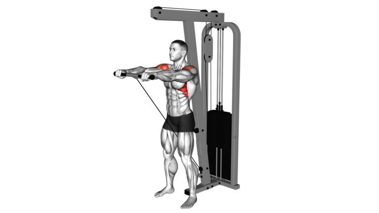Cable Front Rise Cable Front Raise (Rope Attachment) - Male Video Guide & Tips