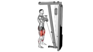 Cable Front Squat With V Bar - Video Exercise Guide & Tips