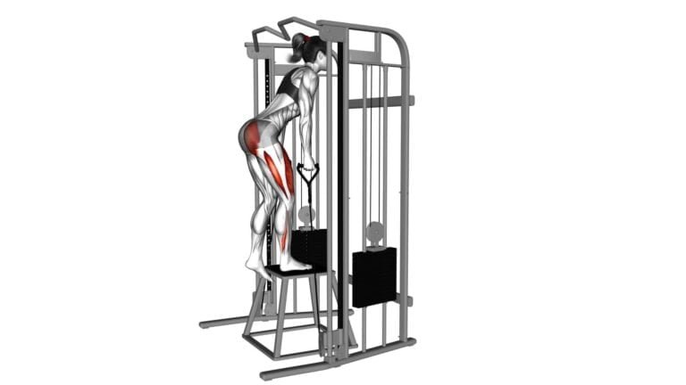 Cable Glute Step-up: Ultimate Guide & Tips