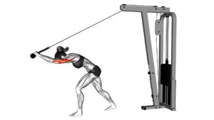 Cable High Pulley Overhead Tricep Extension (female) - Video Exercise Guide & Tips
