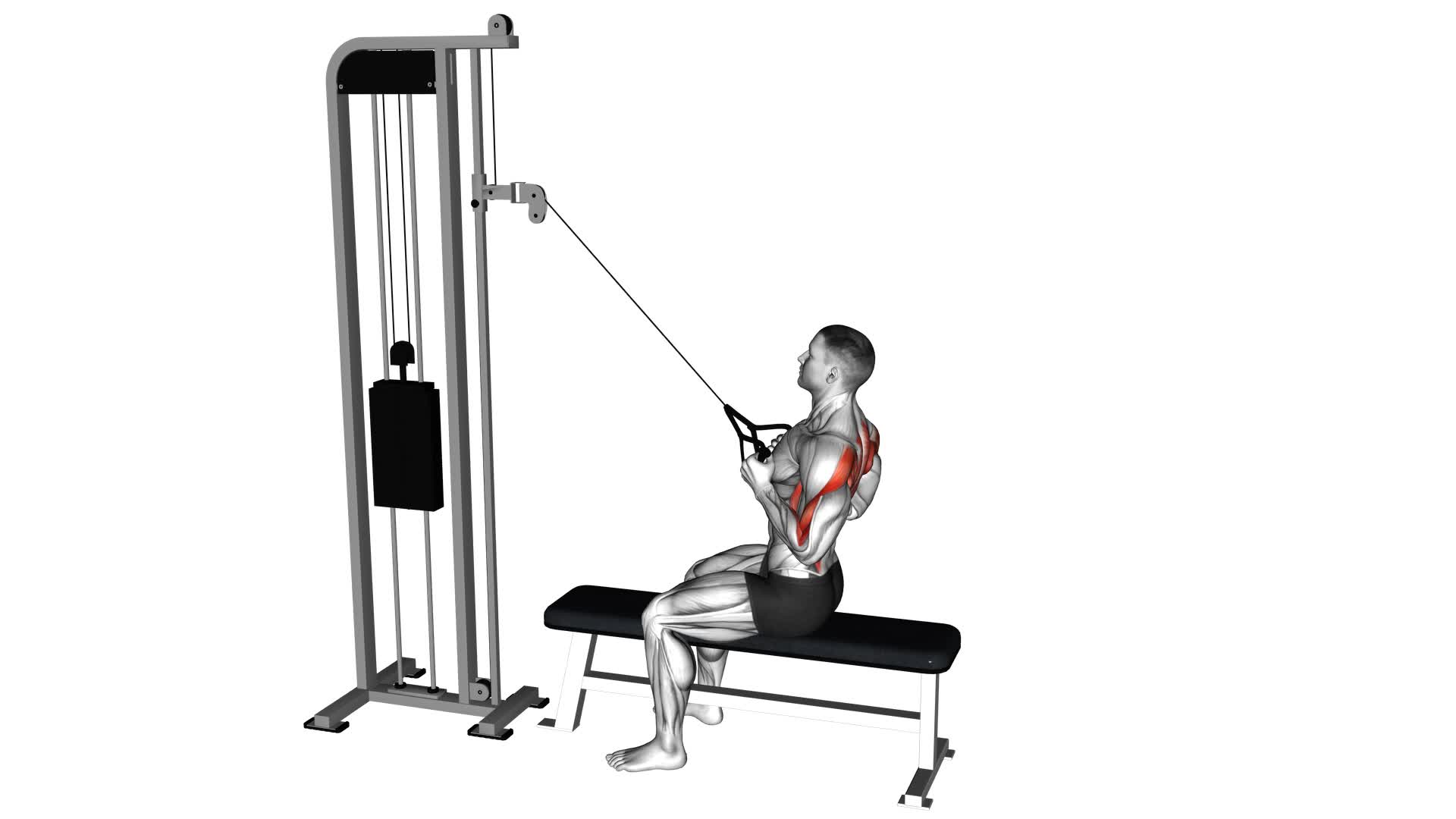 Cable High Row - Video Exercise Guide & Tips