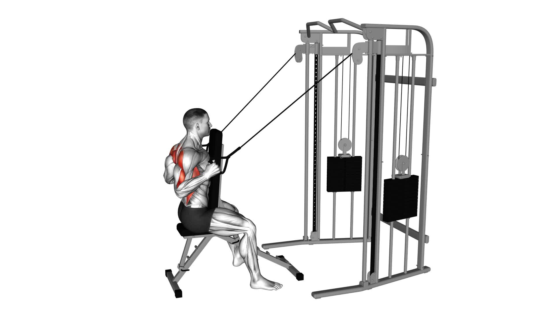 Cable High Row With Chest Support - Video Exercise Guide & Tips