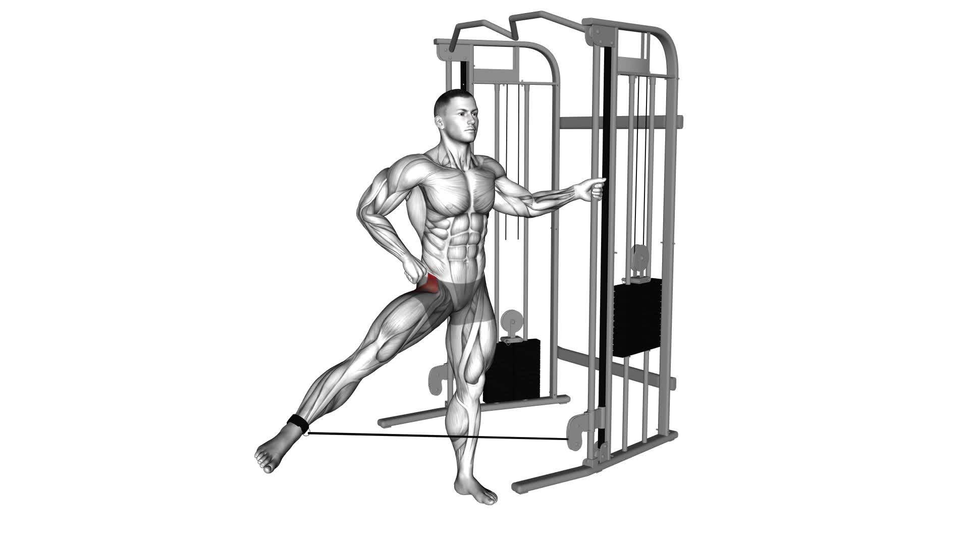 Cable Hip Abduction (Version 2) (Male) - Video Exercise Guide & Tips