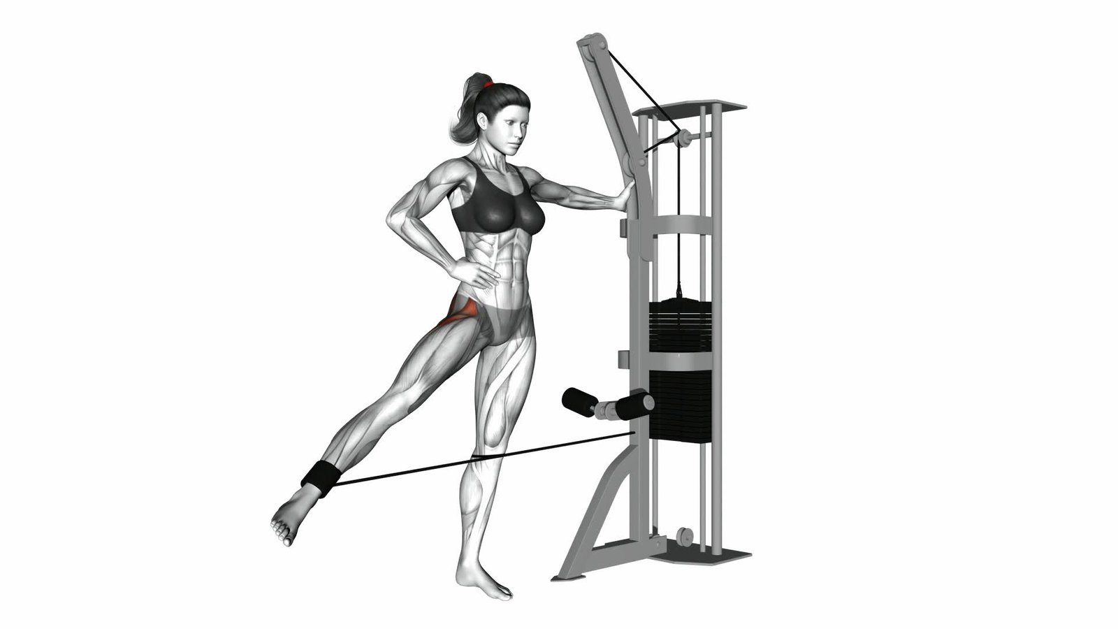 Cable Standing Hip Extension v2 Exercise Guide Tips