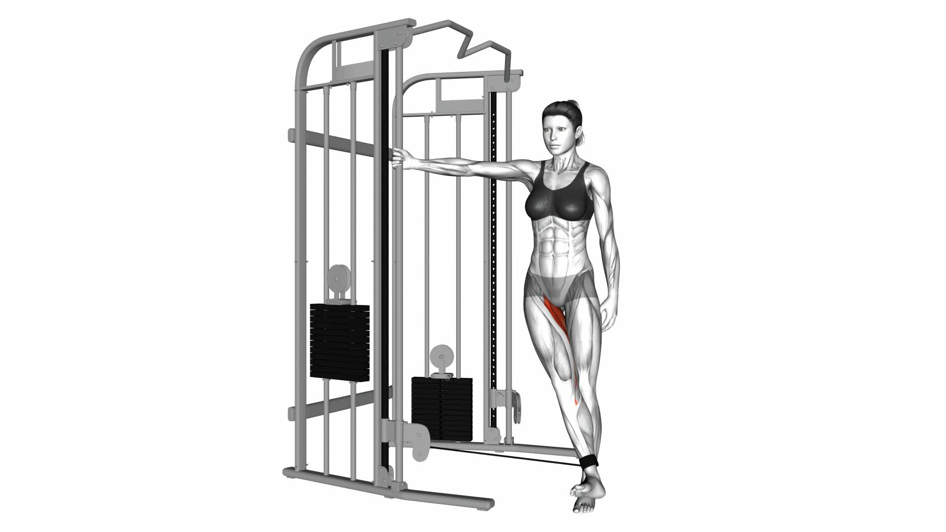 Cable Hip Adduction (female) - Video Exercise Guide & Tips