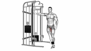 Cable Hip Adduction - Video Exercise Guide & Tips