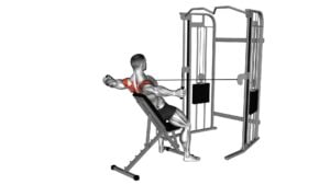 Cable Incline Rear Delt Fly With Back Support (Male) - Video Exercise Guide & Tips