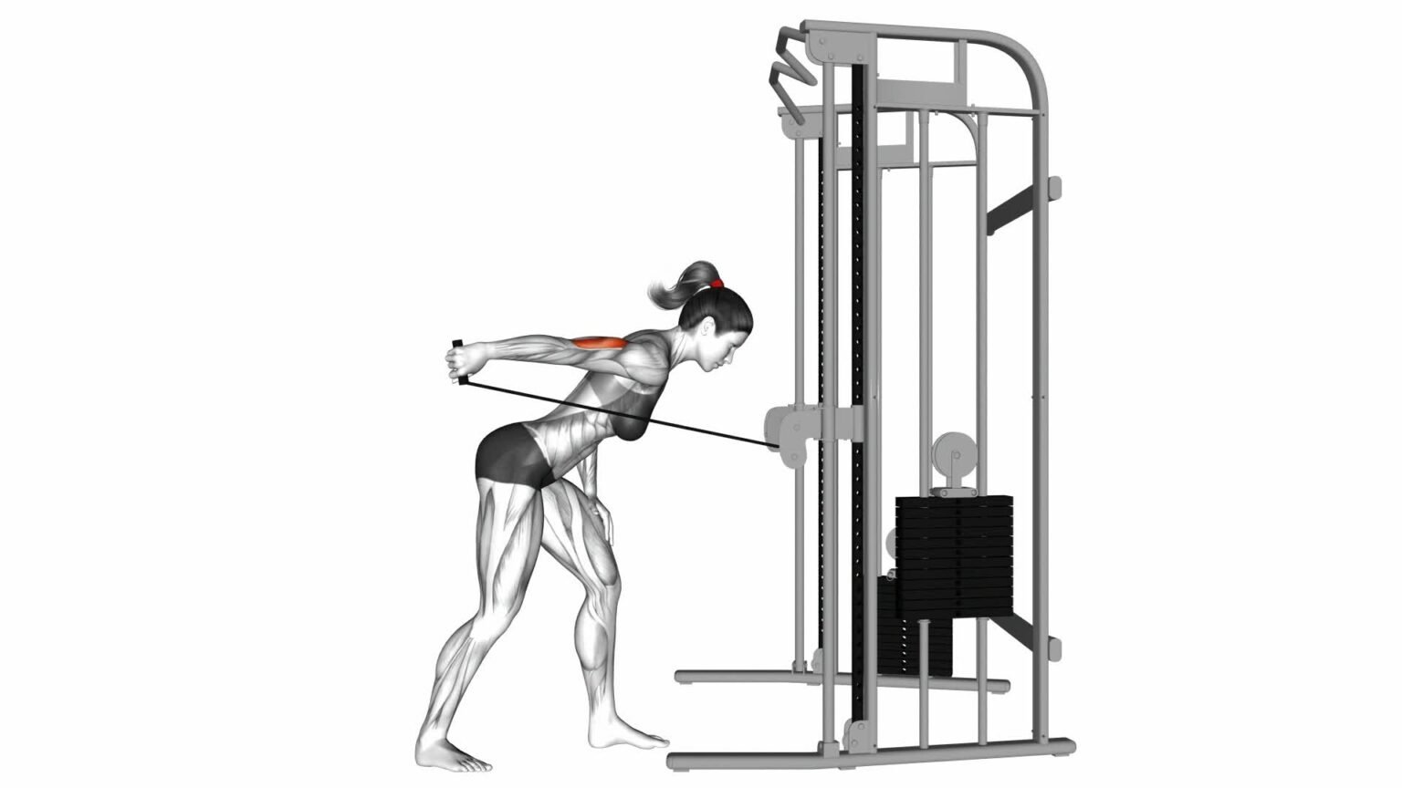 Cable Kickback female Video Guide Tips For Effective Exercise