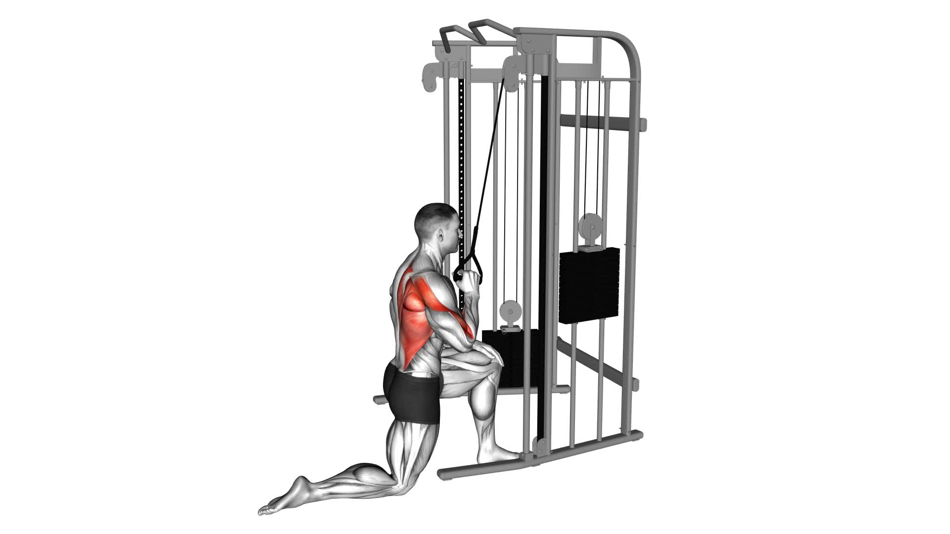 Cable Kneeling One Arm Lat Pulldown - Video Exercise Guide & Tips
