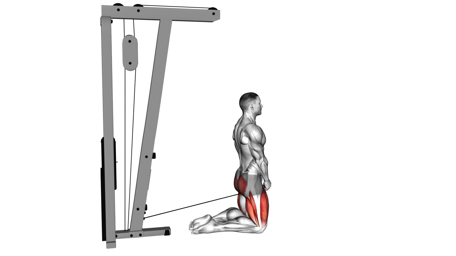 Cable Kneeling Pull Through - Video Exercise Guide & Tips