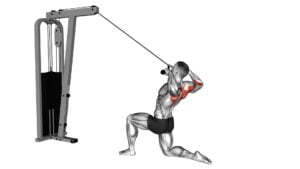 Cable Kneeling Rear Delt Row (With Rope) (Male) - Video Exercise Guide & Tips