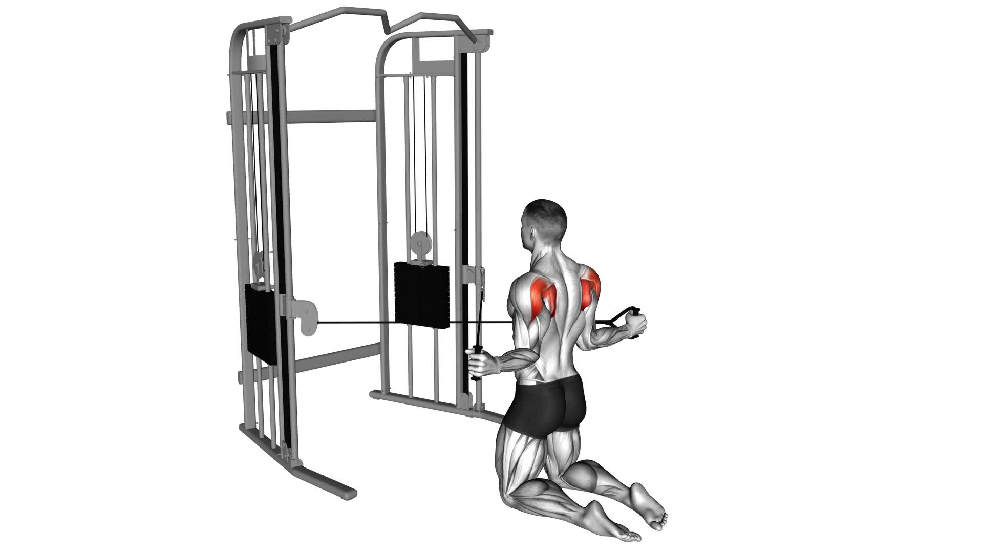 Cable Kneeling Shoulder External Rotation (male) - Video Exercise Guide & Tips