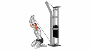 Cable Kneeling Triceps Extension (VERSION 2) - Video Exercise Guide & Tips
