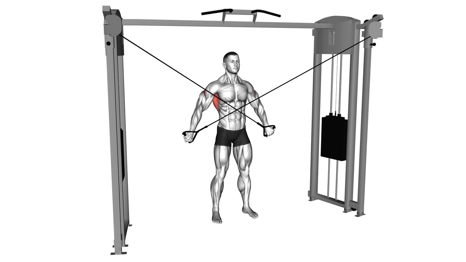Cable Lat Pulldown Full Range Of Motion - Video Exercise Guide & Tips