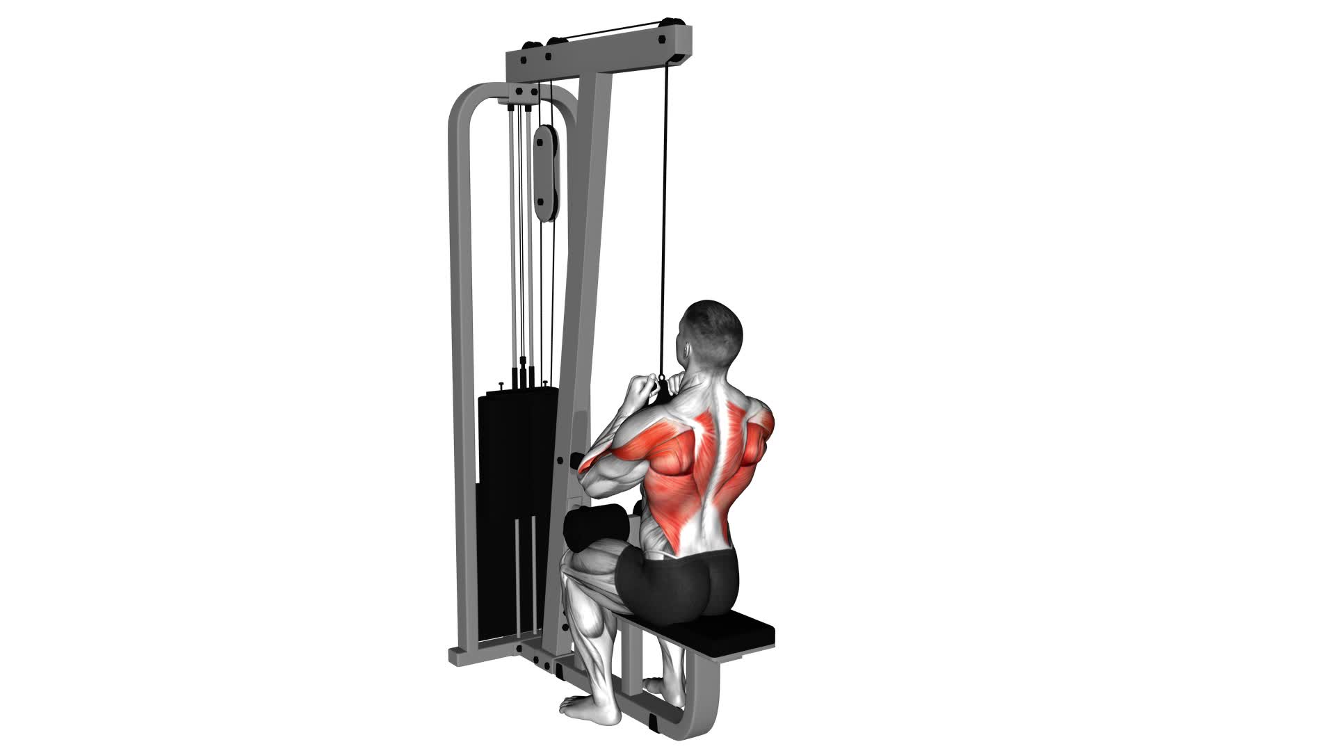 Cable Lateral Pulldown With Mag Grip - Video Exercise Guide & Tips