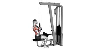 Cable Lateral Pulldown (With Rope Attachment) - Video Exercise Guide & Tips