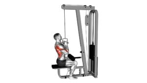 Cable Lateral Pulldown With V-Bar - Video Exercise Guide & Tips