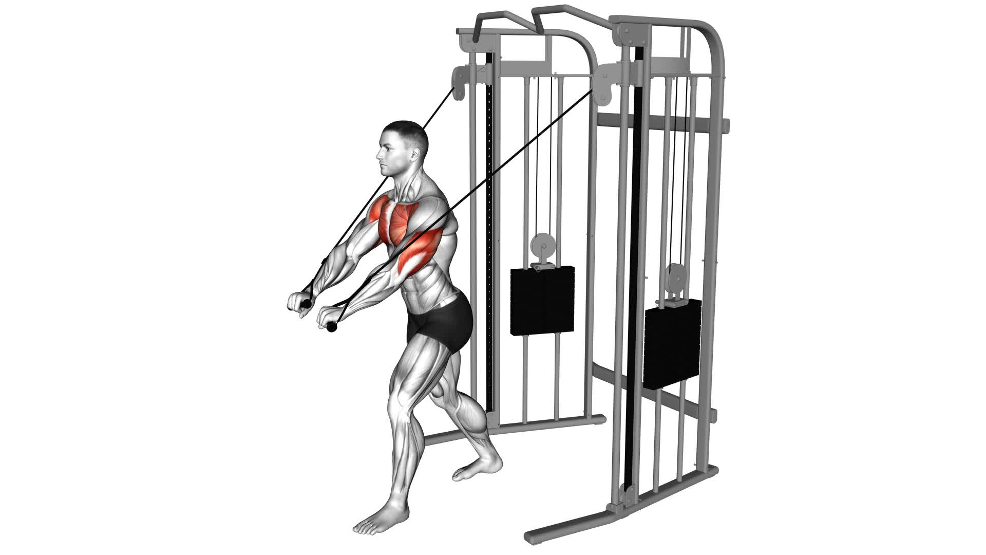 Cable Low Chest Press (male) - Video Exercise Guide & Tips