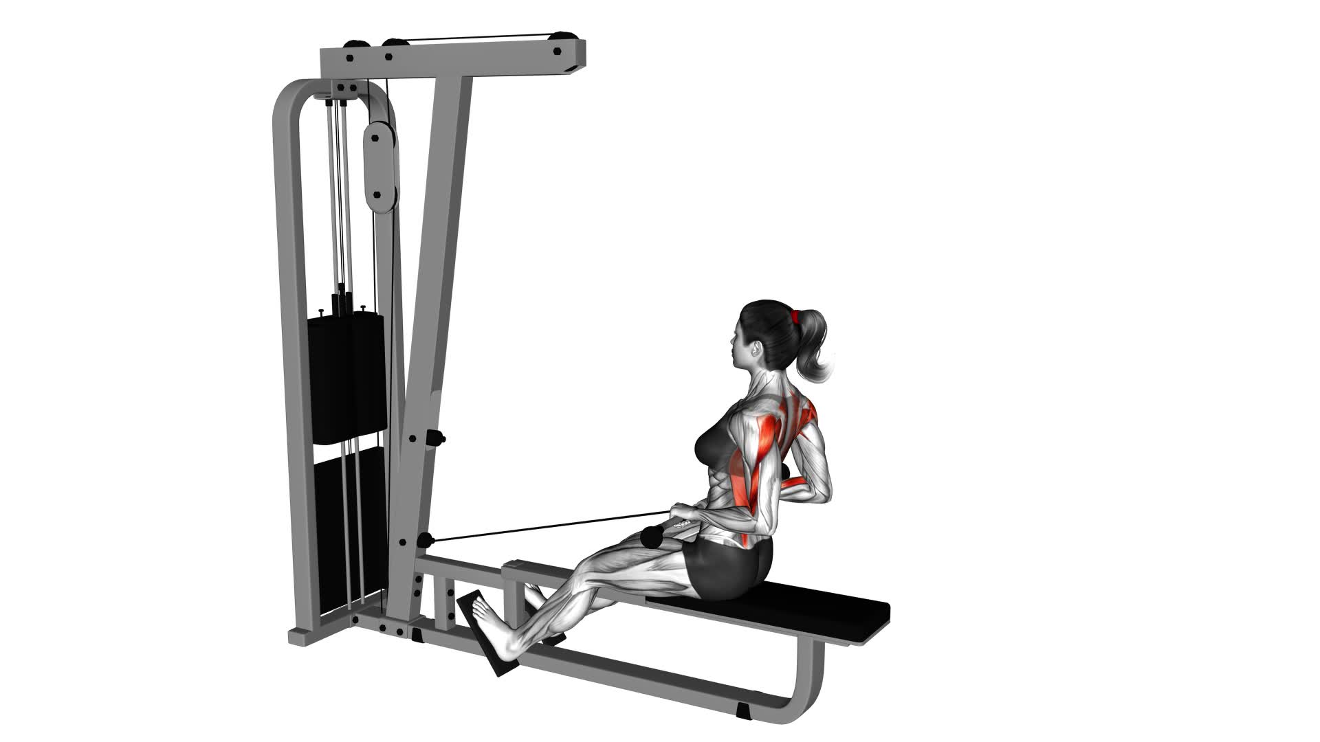 Cable Low Seated Row (female) - Video Exercise Guide & Tips