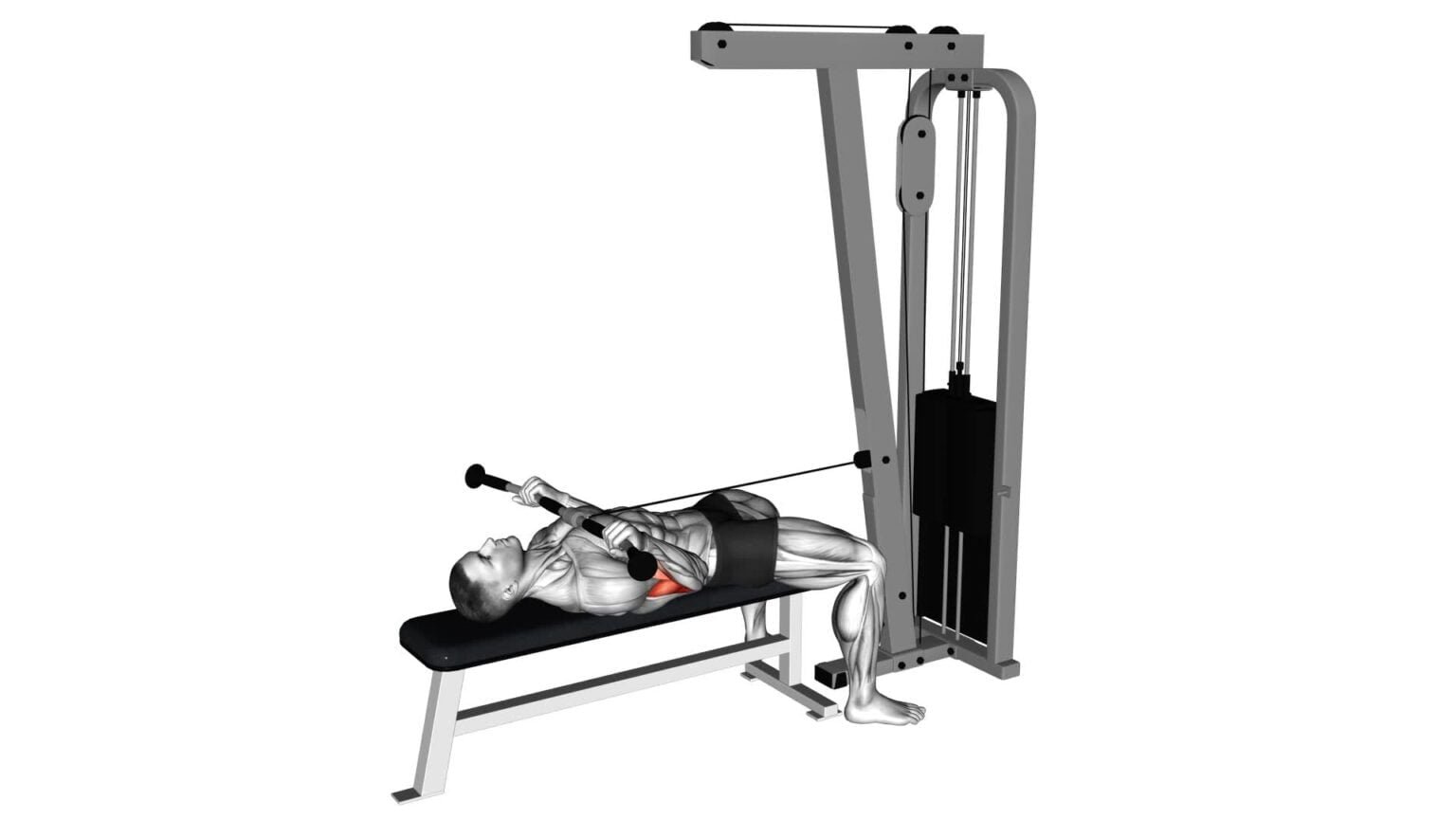 Bicep curl cable machine