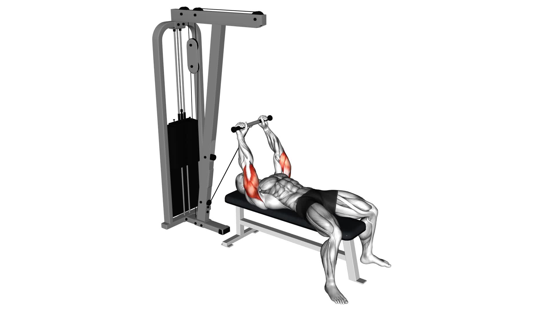 Cable Lying Triceps Extension (Low) - Video Exercise Guide & Tips