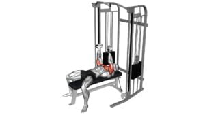 Cable Neutral Grip Chest Press - Video Exercise Guide & Tips