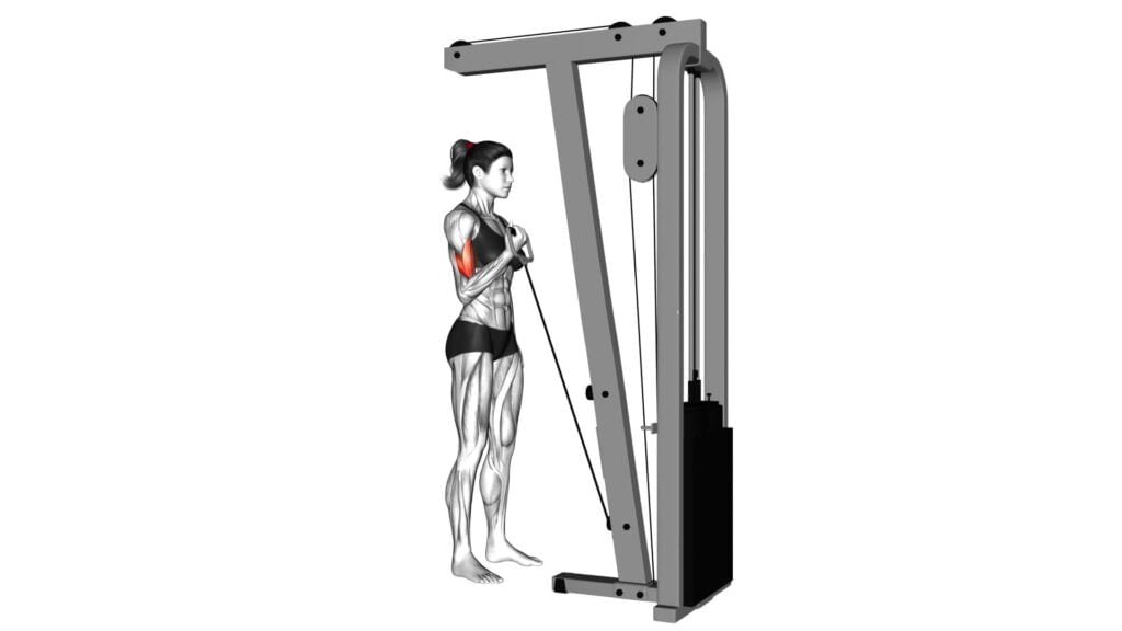 Cable One Arm Curl (female) - Exercise Guide & Tips