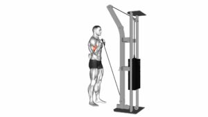 Cable One Arm Curl - Video Exercise Guide & Tips